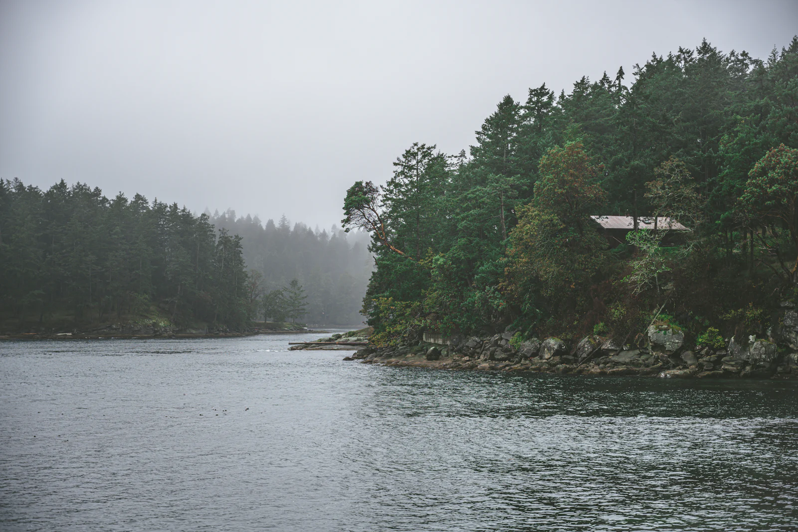Mist over a forested island on the British Columbia coast