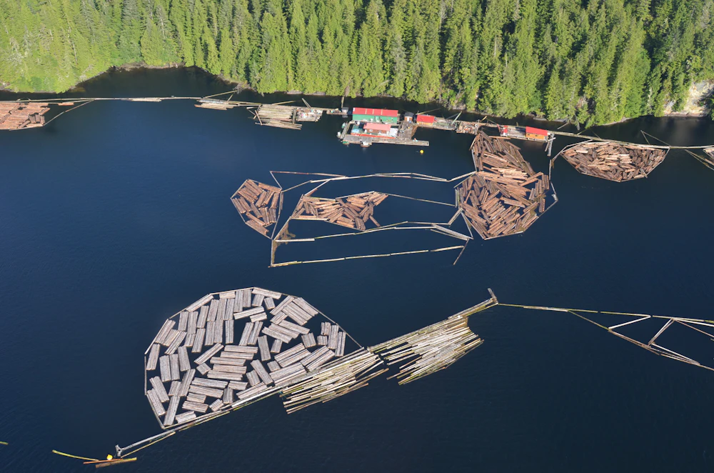 Aerial view of timber log booms on a forested British Columbia inlet